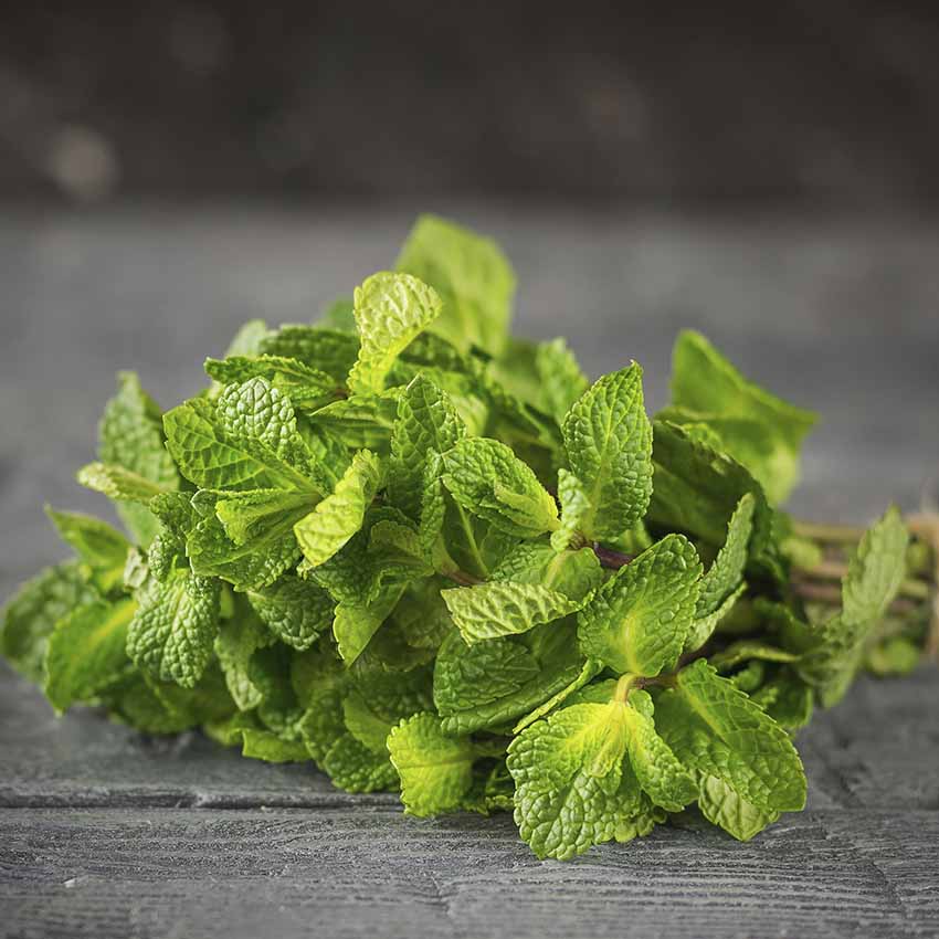 aromaticas