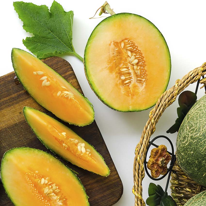 melon
