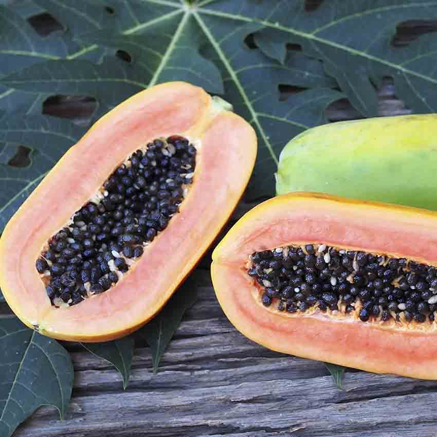 papaya