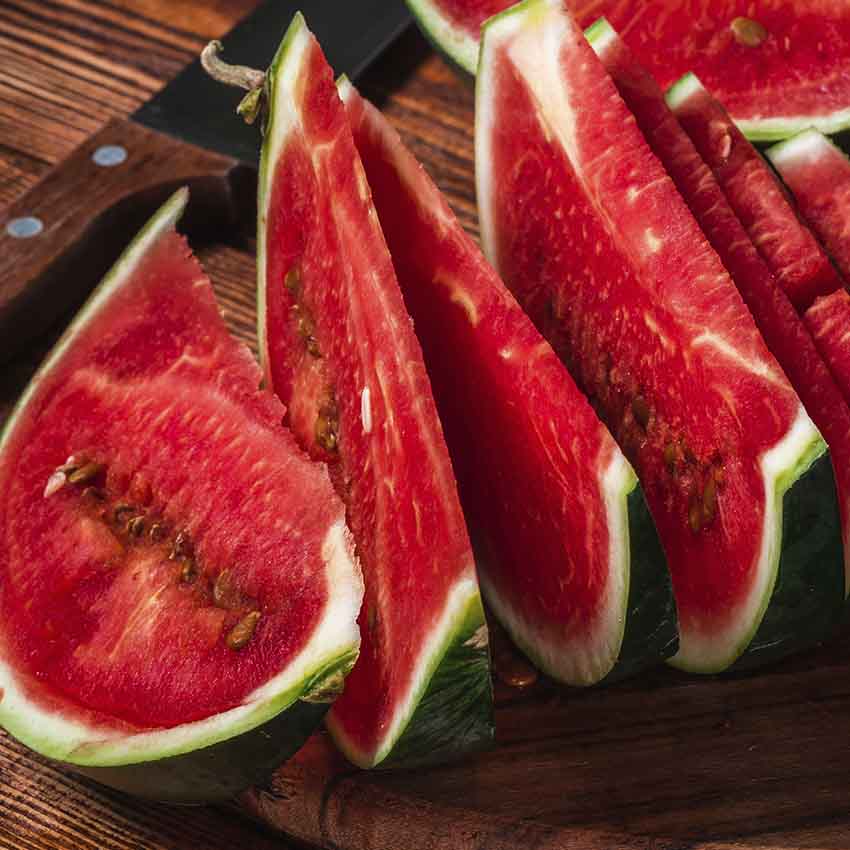 sandia
