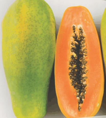 Papaya Tainung