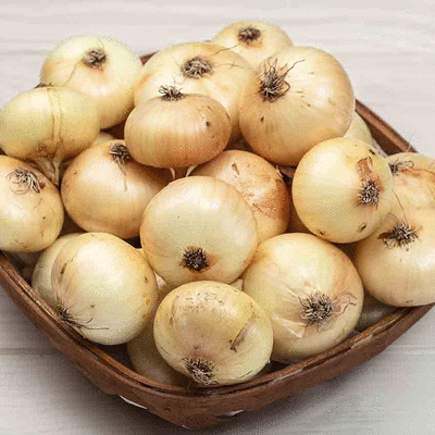 cebolla