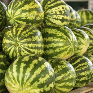 sandia